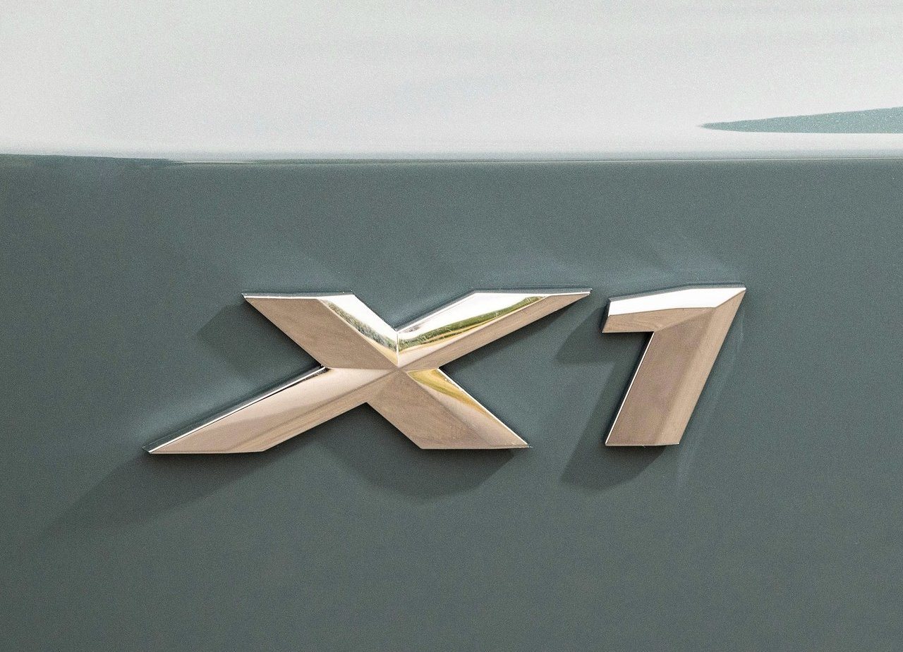 BMW X1, foto 187