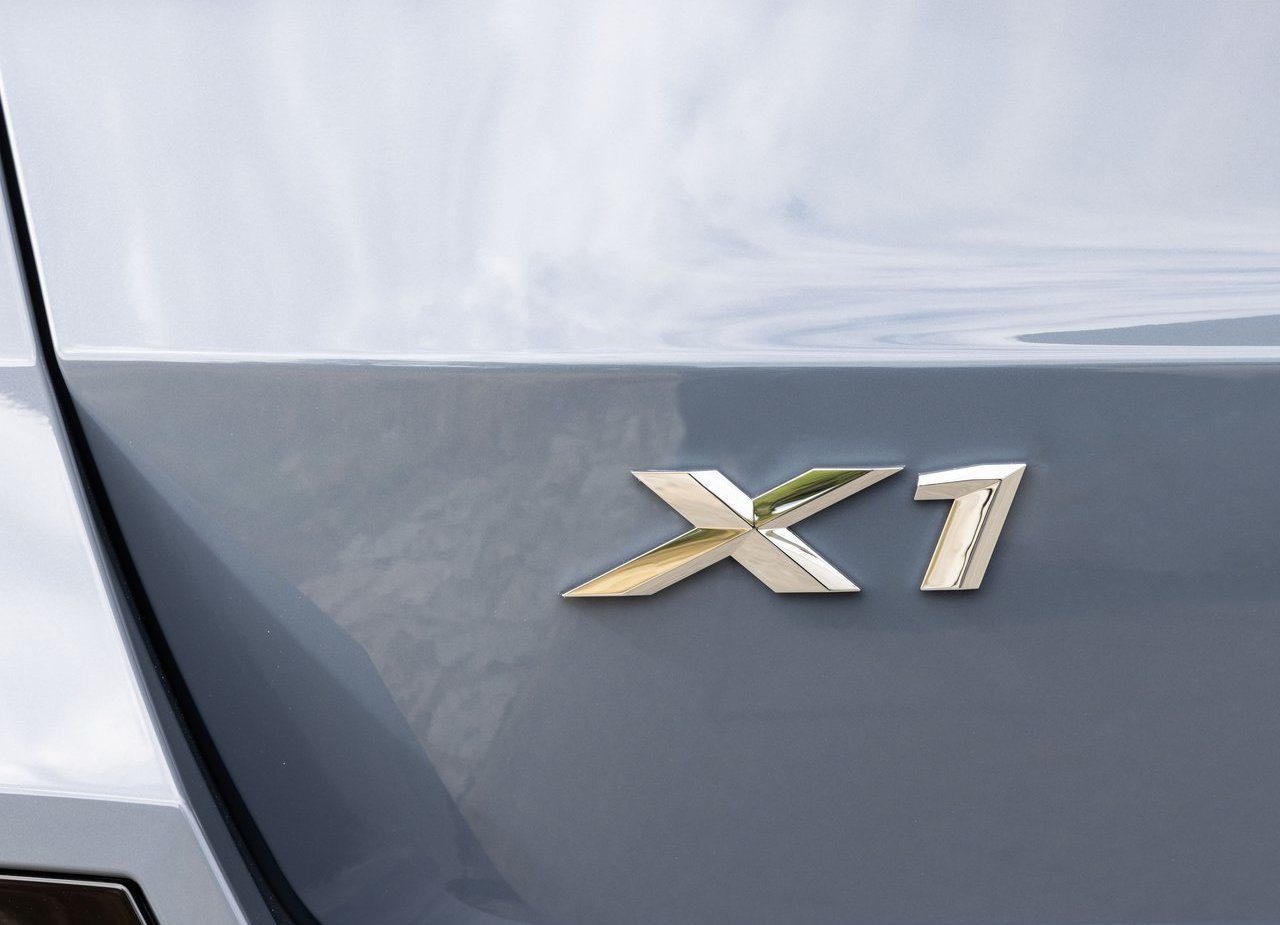 BMW X1, foto 188