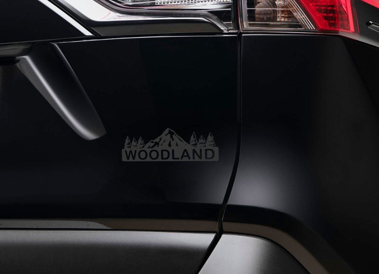 2023 - TOYOTA RAV4 HYBRID WOODLAND EDITION, foto 9