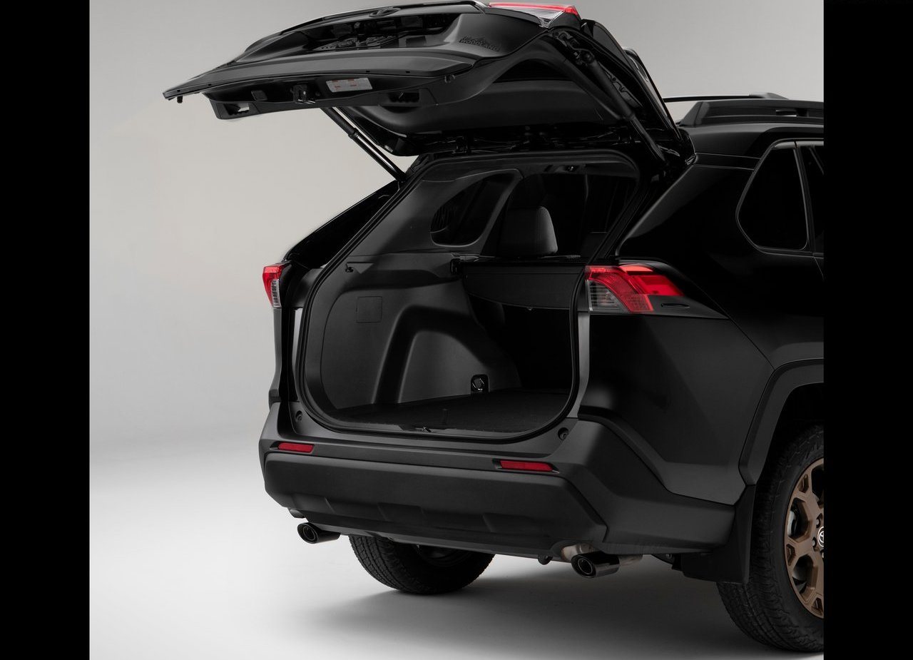 2023 - TOYOTA RAV4 HYBRID WOODLAND EDITION, foto 11