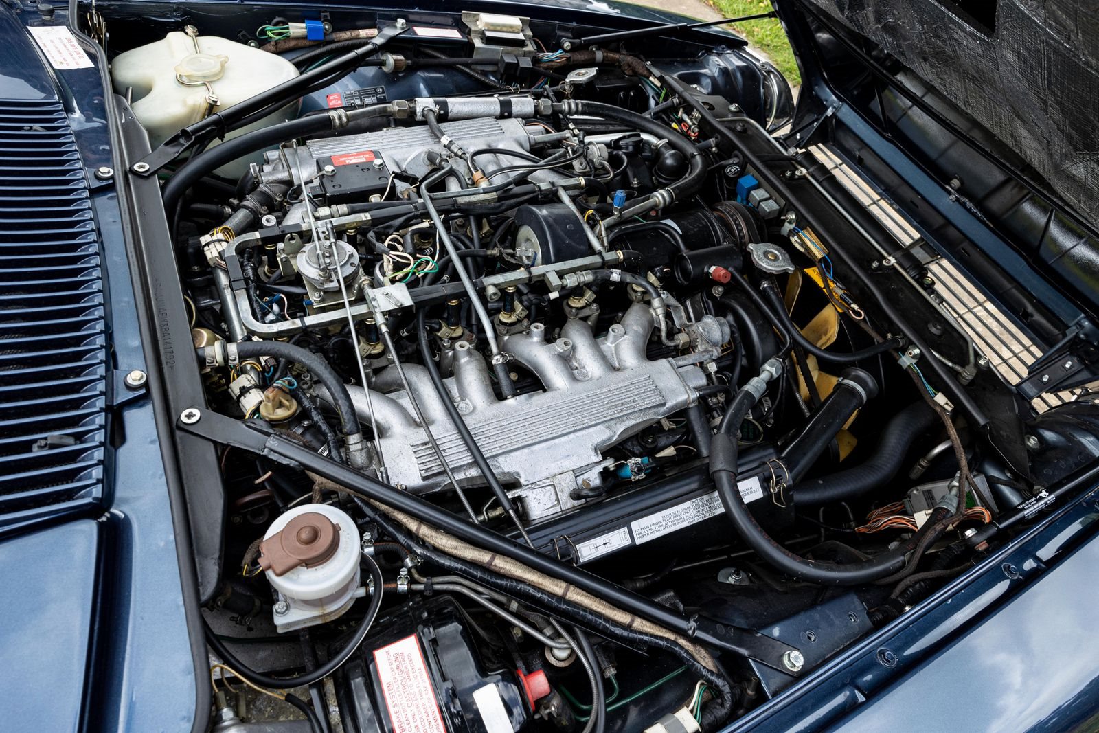 1987 - JAGUAR XJS V12 HE LYNX EVENTER BY PAOLO GUCCI, foto 7