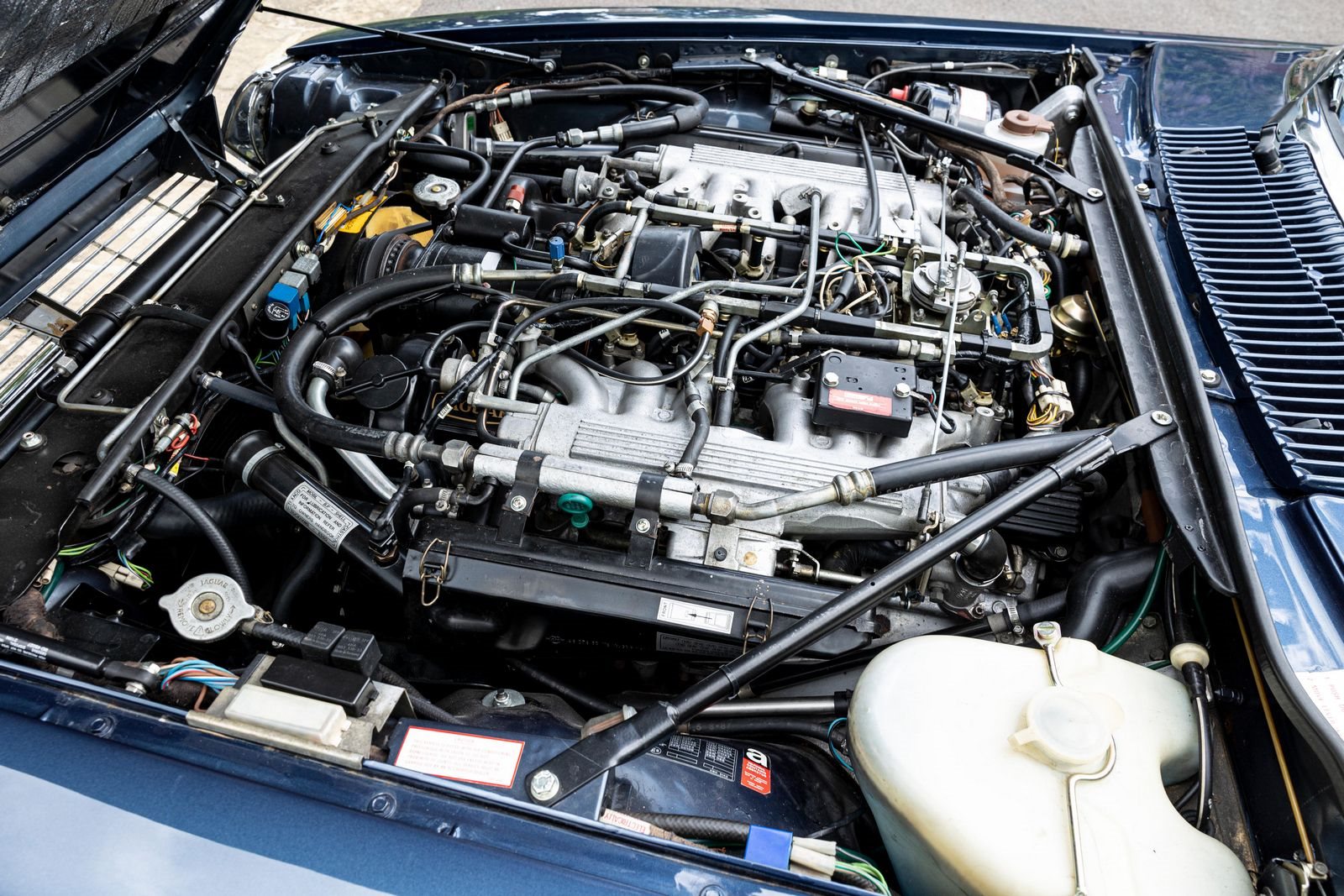 1987 - JAGUAR XJS V12 HE LYNX EVENTER BY PAOLO GUCCI, foto 8