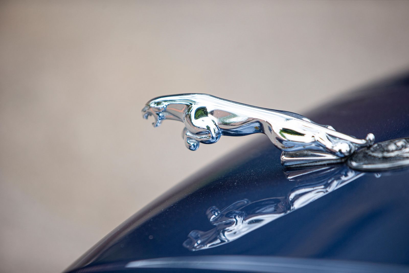 1987 - JAGUAR XJS V12 HE LYNX EVENTER BY PAOLO GUCCI, foto 38