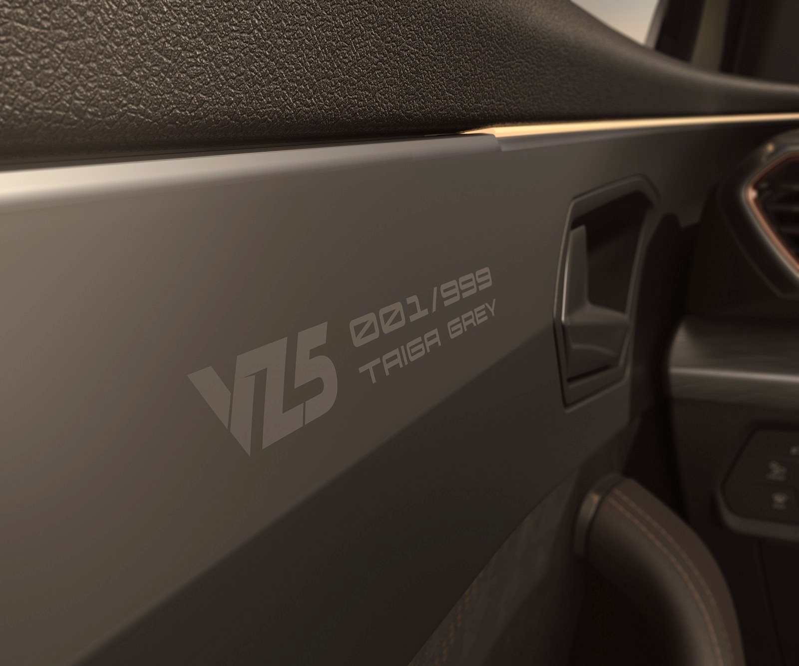 2022 - CUPRA FORMENTOR VZ5 TAIGA GREY, foto 10