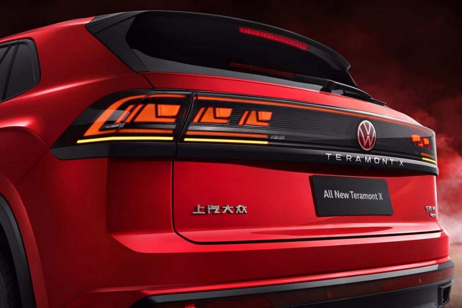 VOLKSWAGEN TERAMONT X, foto 8