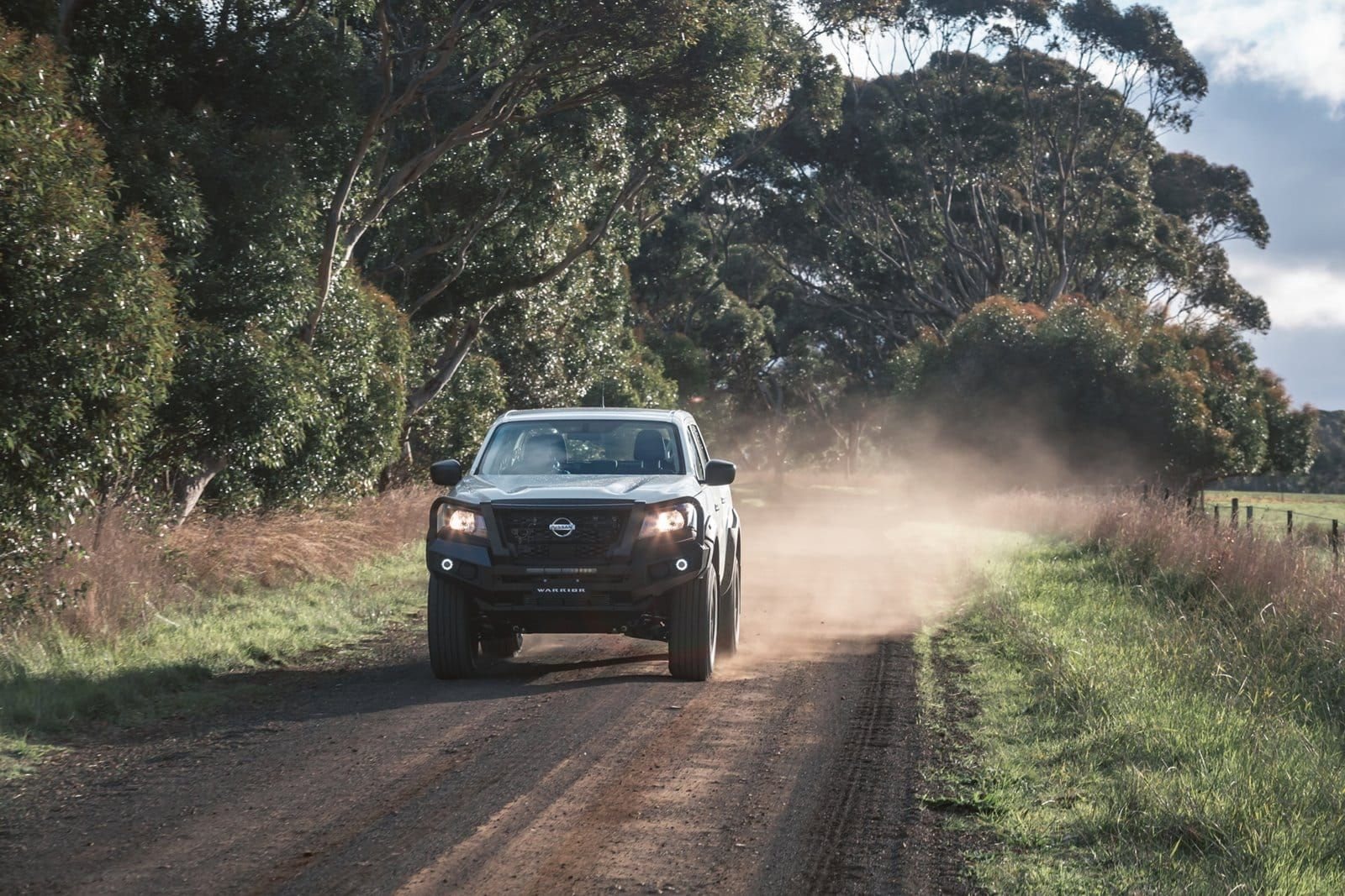 2022 - NISSAN NAVARA SL WARRIOR BY PREMCAR, foto 27