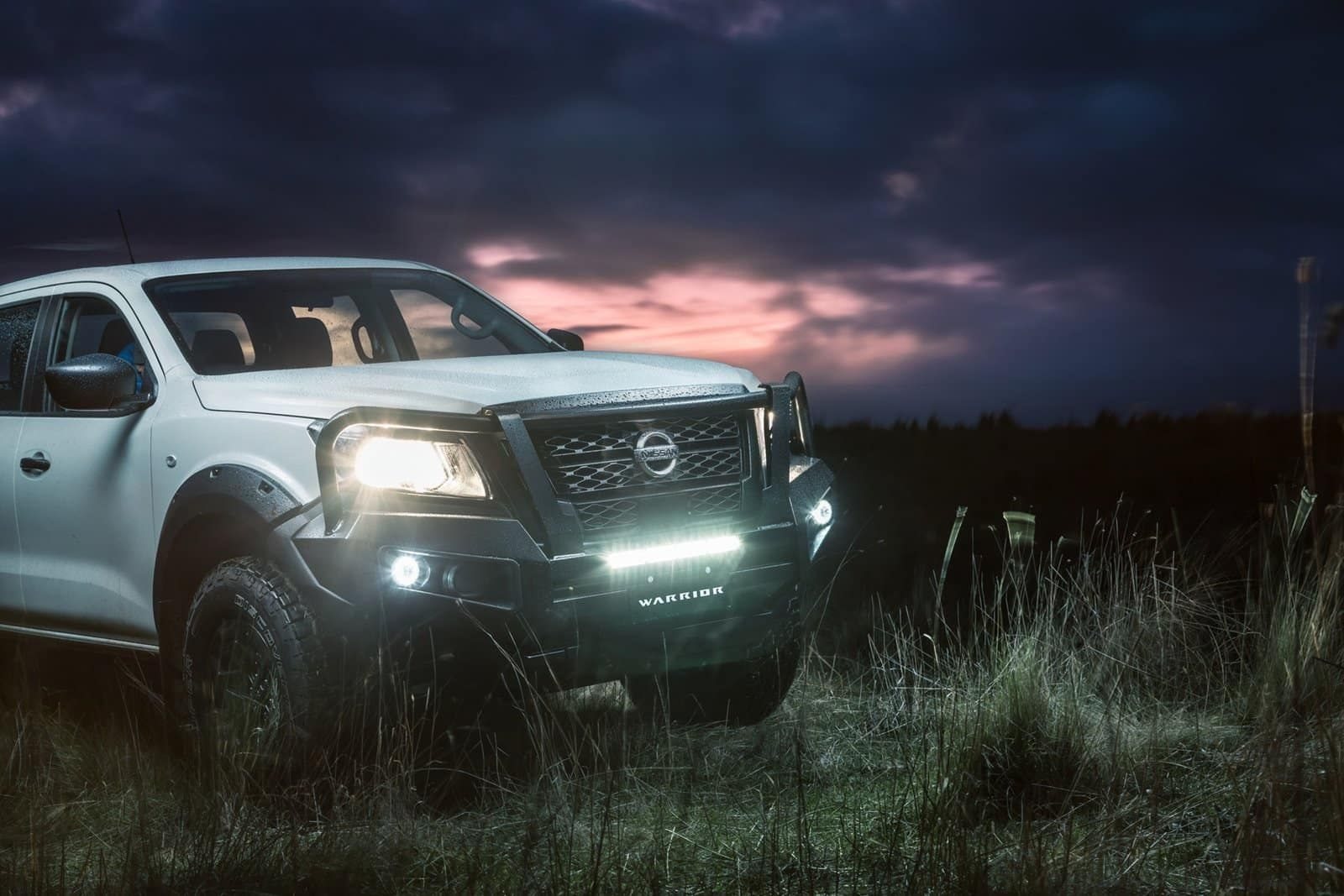 2022 - NISSAN NAVARA SL WARRIOR BY PREMCAR, foto 57