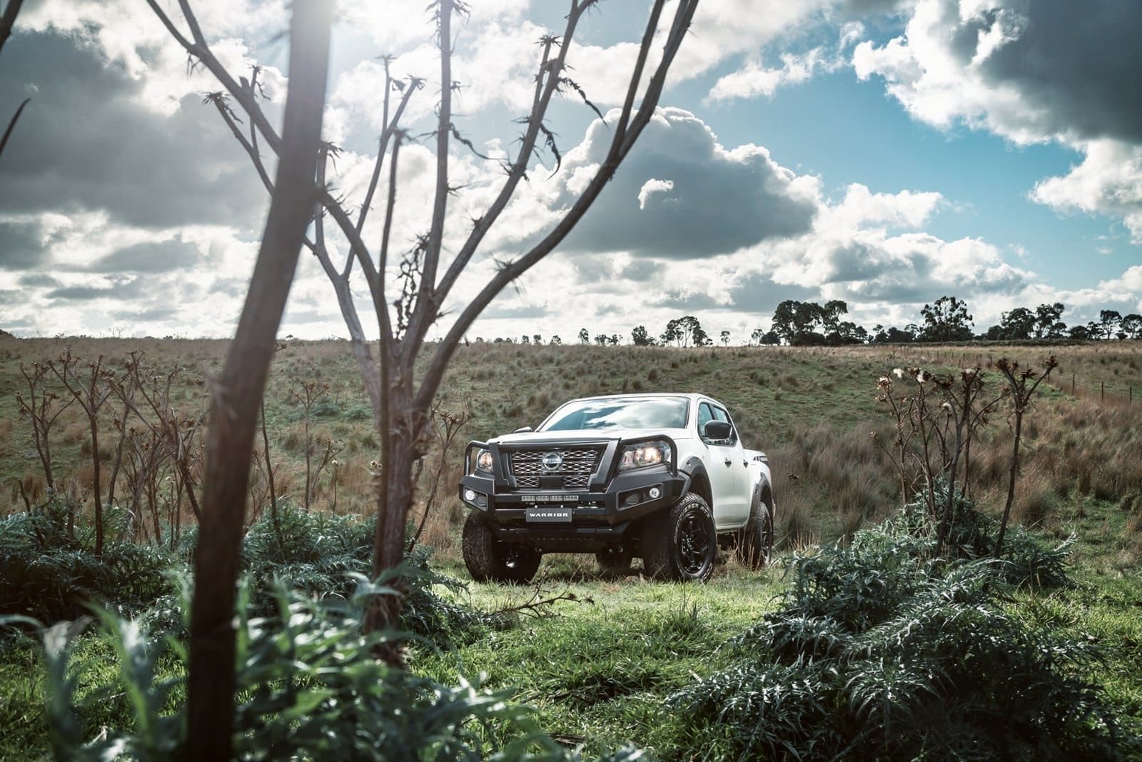 2022 - NISSAN NAVARA SL WARRIOR BY PREMCAR, foto 66