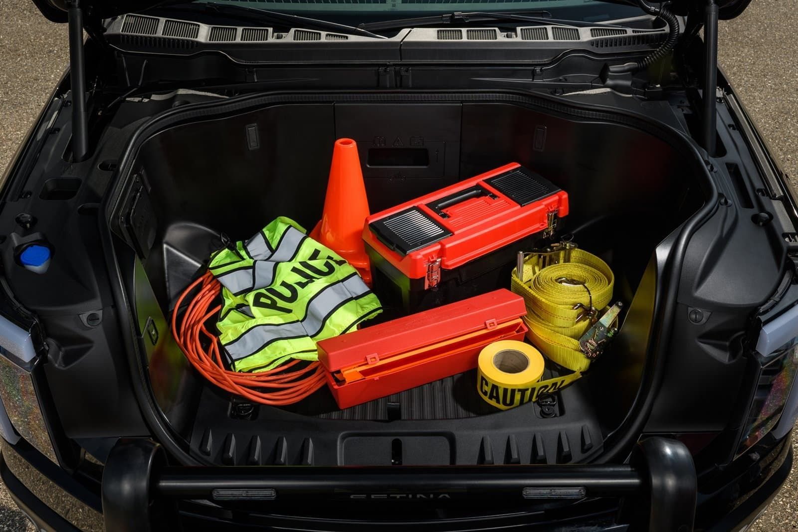 FORD F-150 LIGHTNING PRO SSV, foto 8