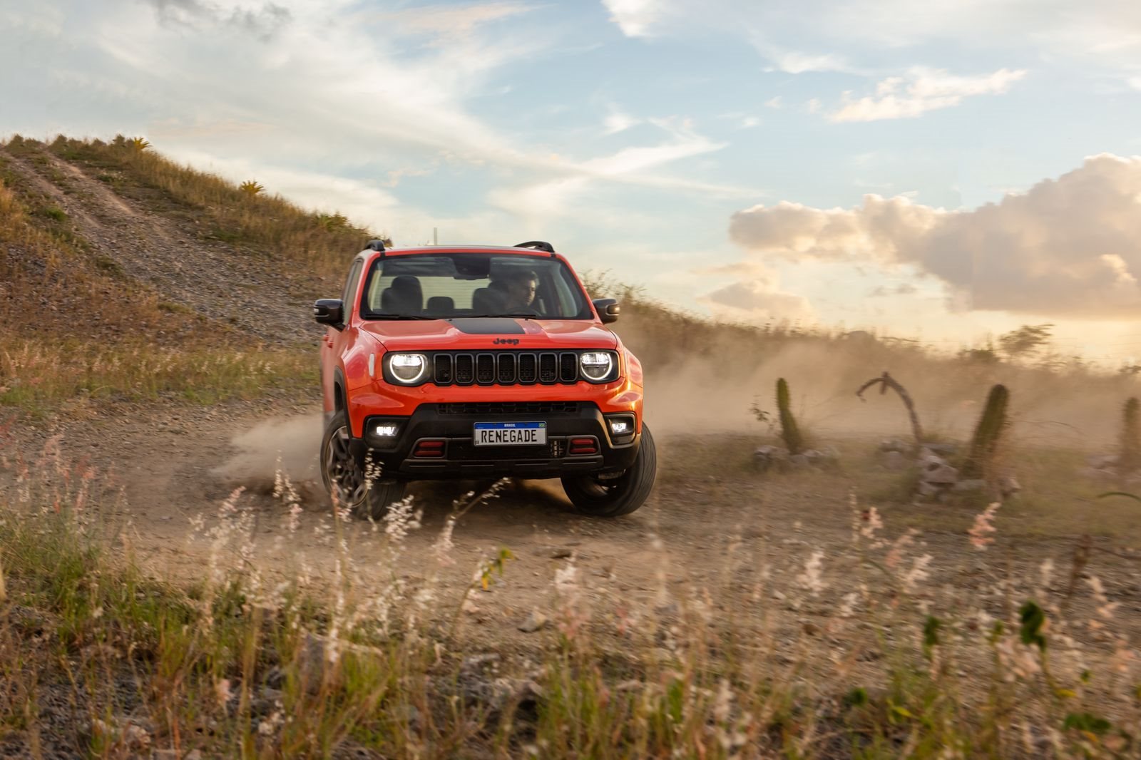 2023 - JEEP RENEGADE, foto 2