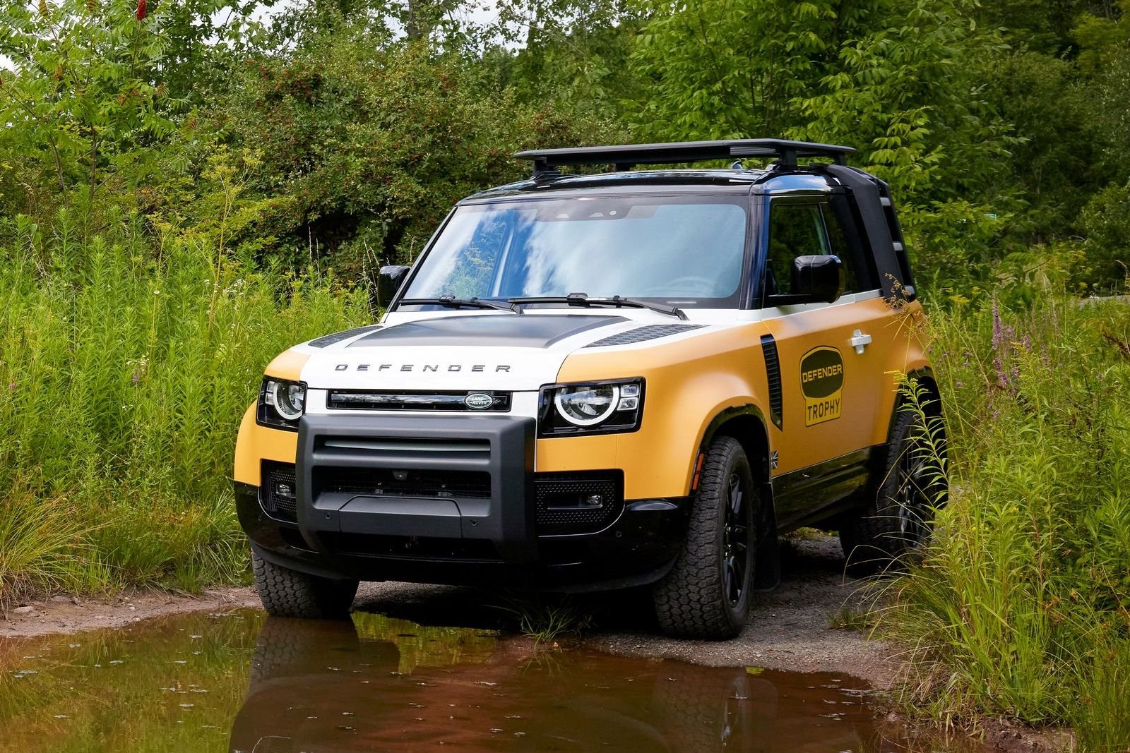 2022 - LAND ROVER DEFENDER TROPHY EDITION, foto 3