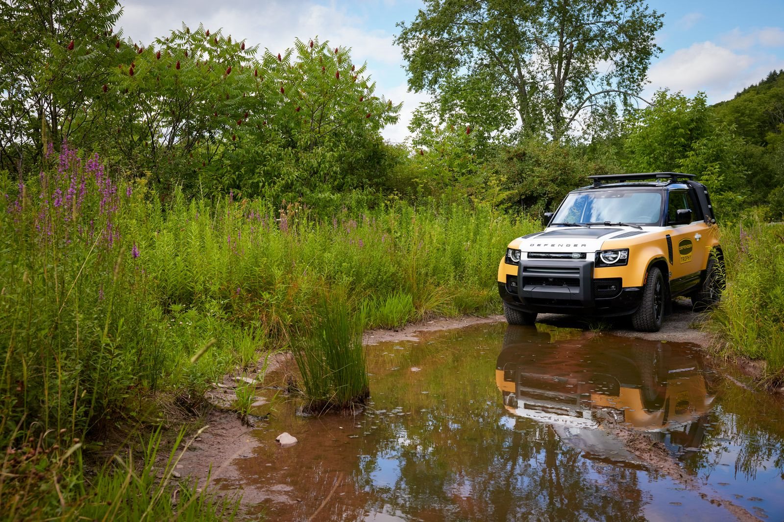 2022 - LAND ROVER DEFENDER TROPHY EDITION, foto 4