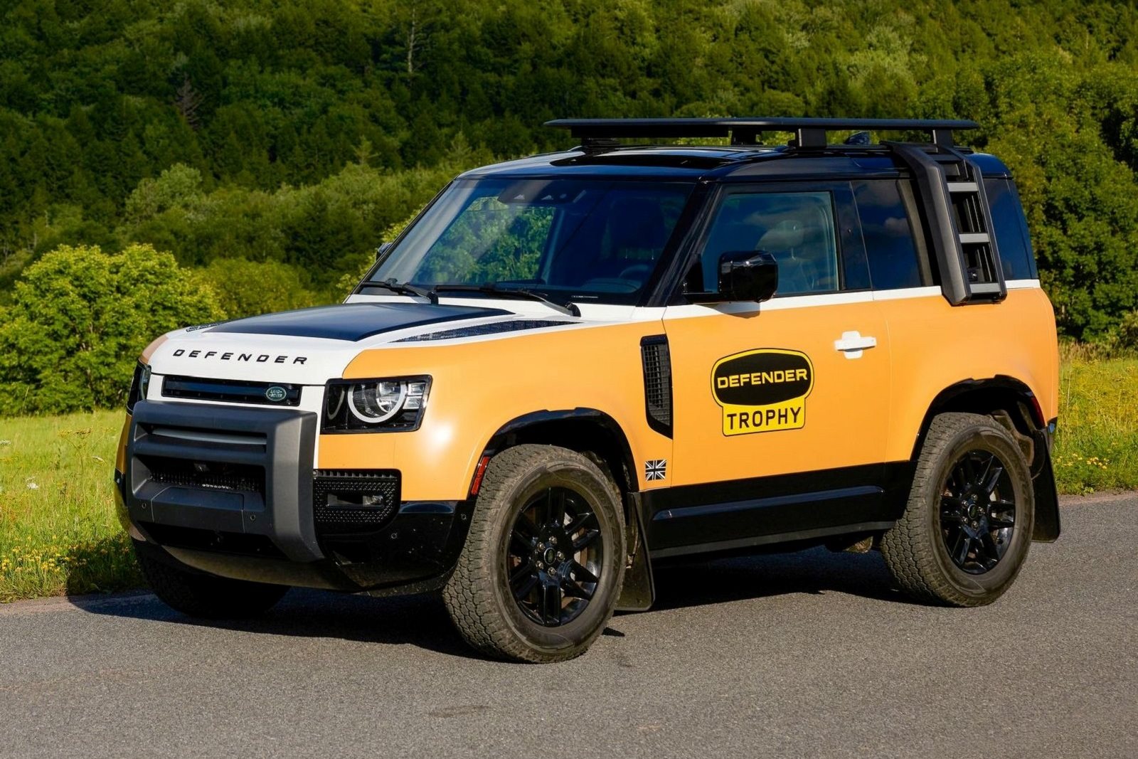 2022 - LAND ROVER DEFENDER TROPHY EDITION, foto 5