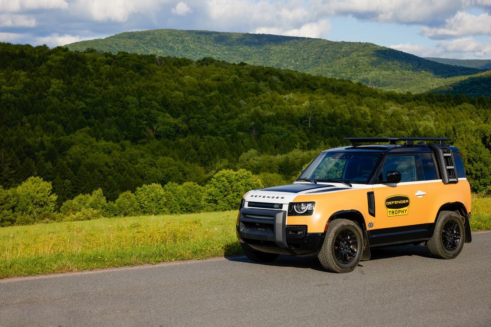 2022 - LAND ROVER DEFENDER TROPHY EDITION, foto 6
