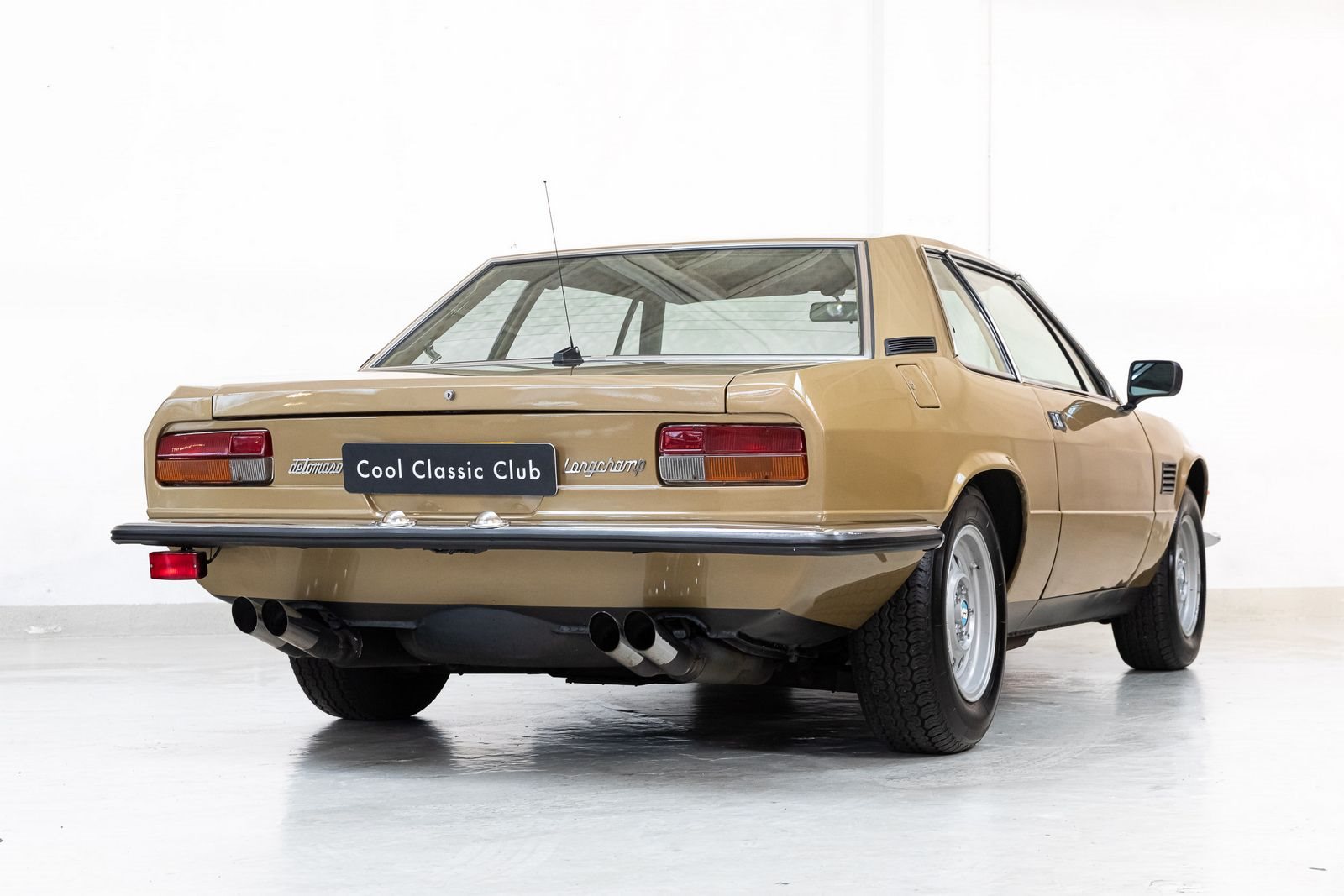 DE TOMASO LONGCHAMP, foto 5