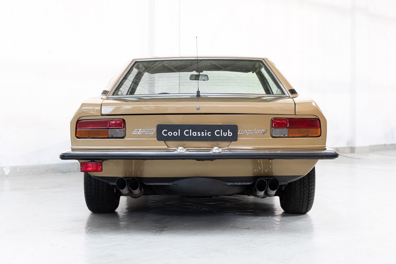 DE TOMASO LONGCHAMP, foto 6