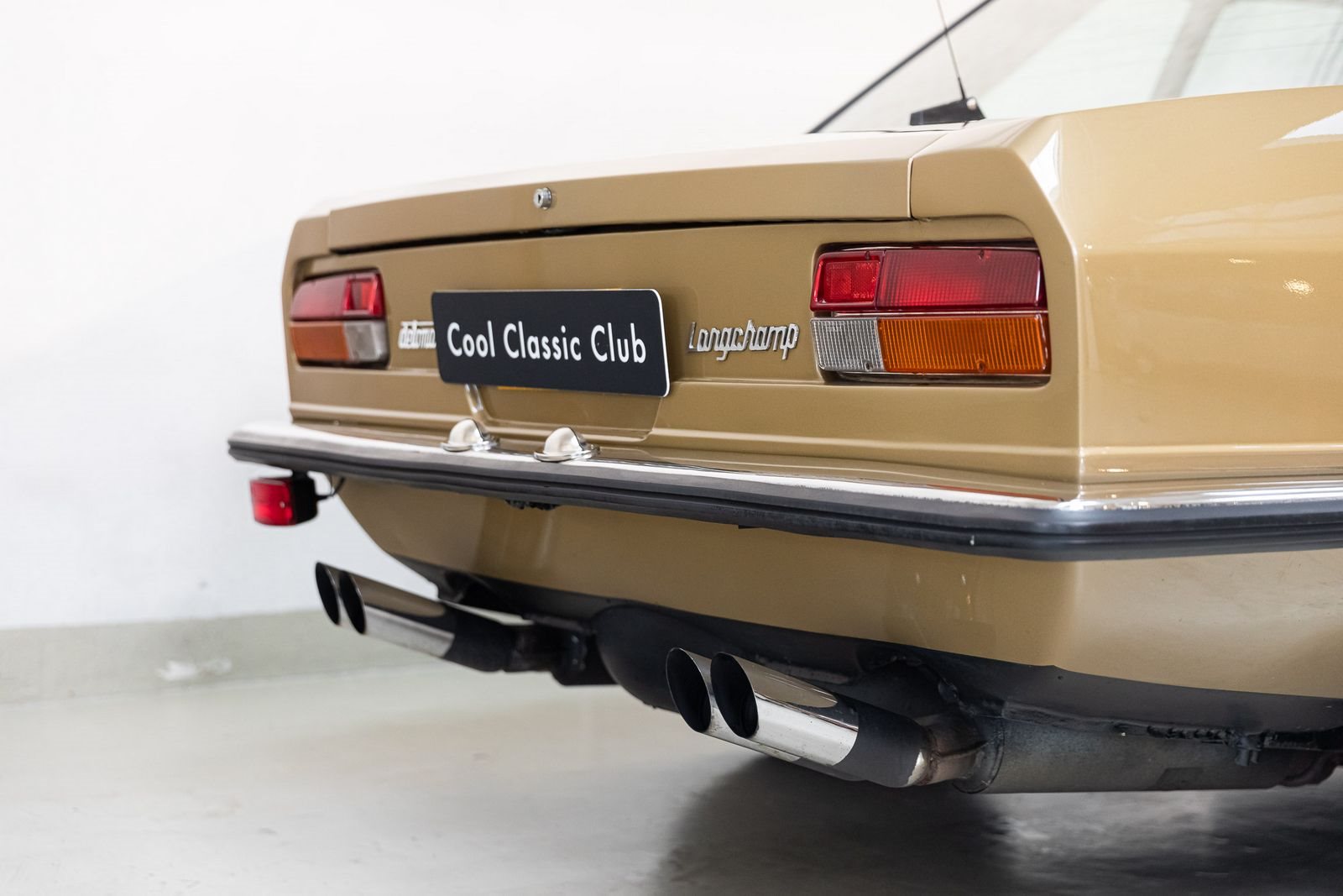 DE TOMASO LONGCHAMP, foto 20