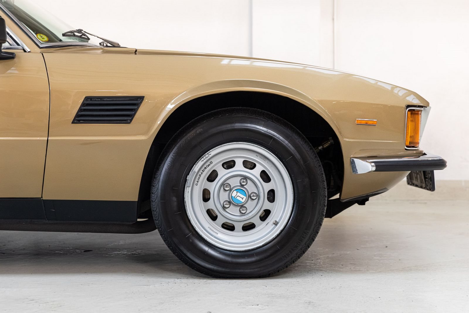 DE TOMASO LONGCHAMP, foto 25