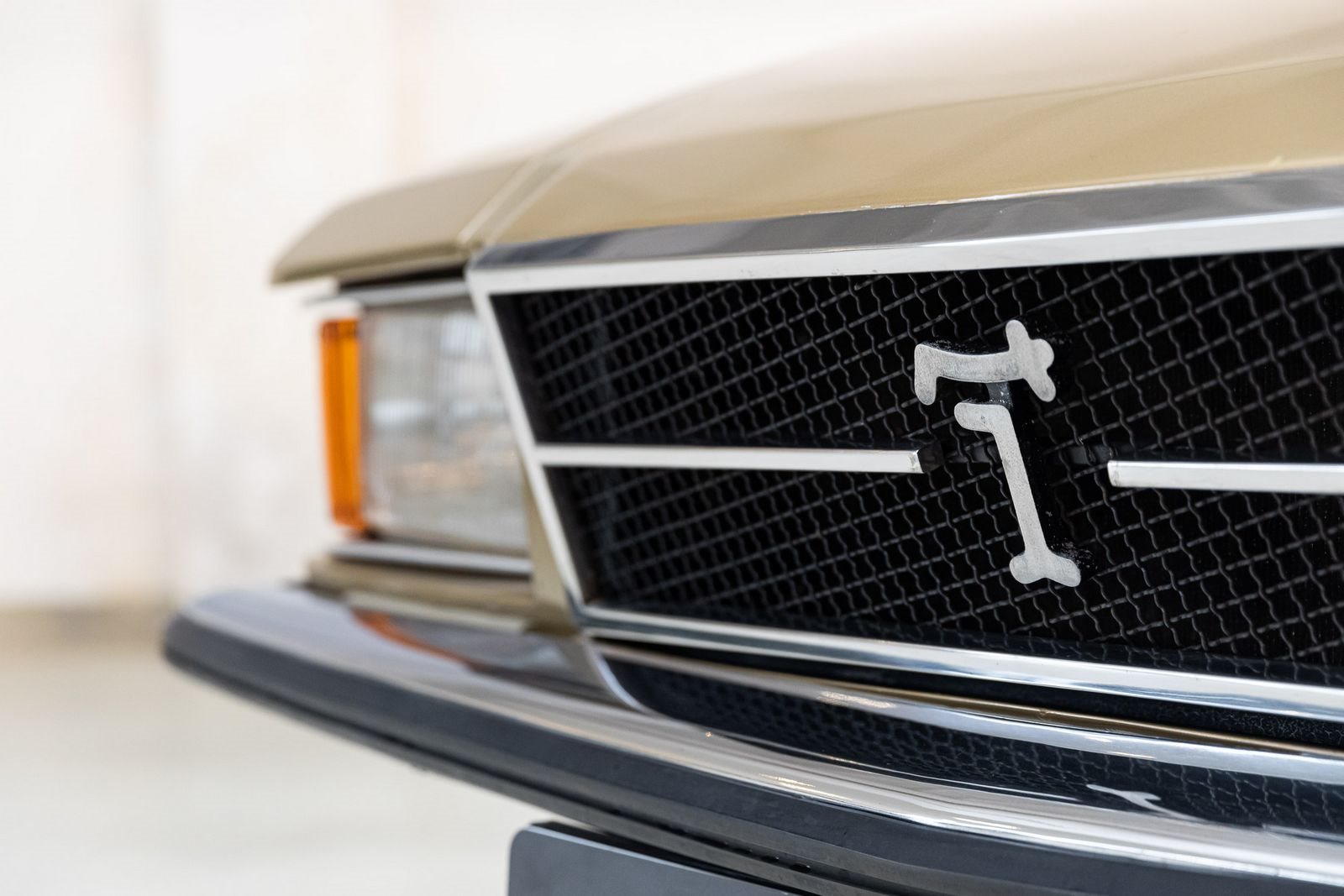 DE TOMASO LONGCHAMP, foto 26