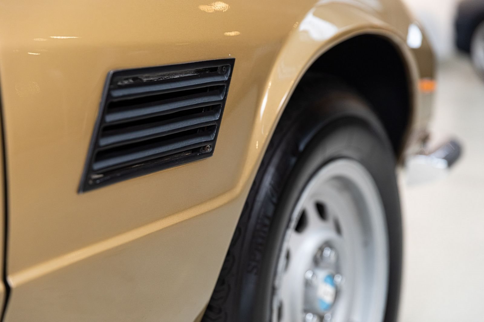 DE TOMASO LONGCHAMP, foto 29