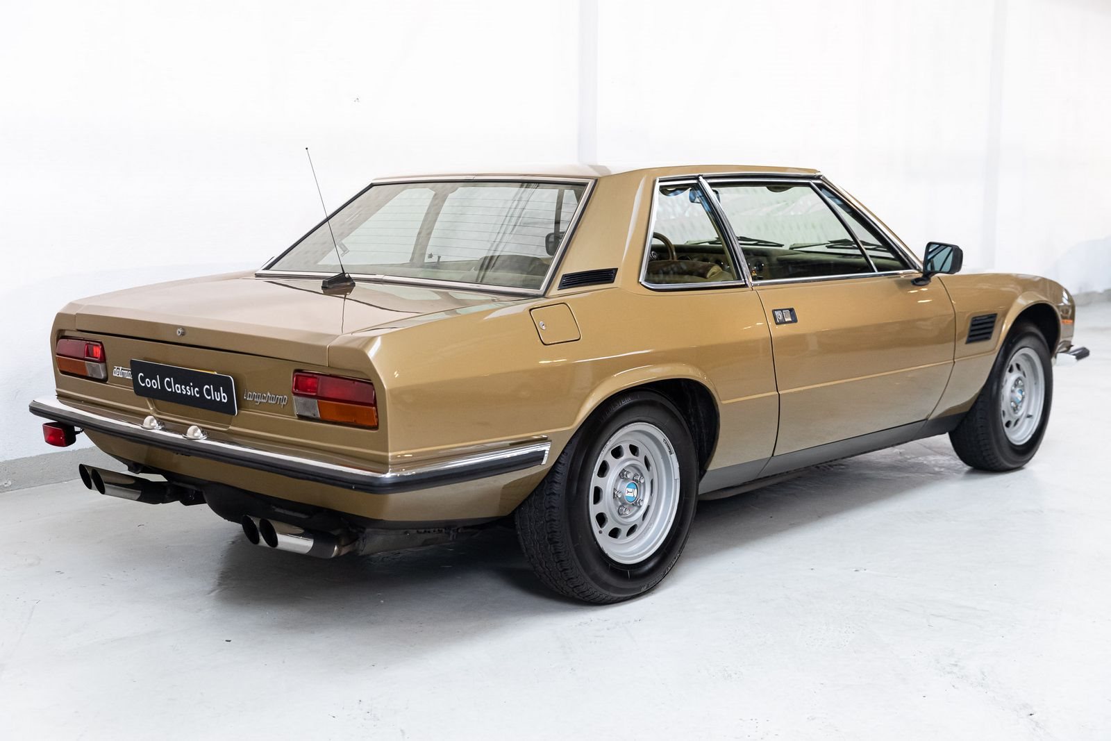 DE TOMASO LONGCHAMP, foto 32