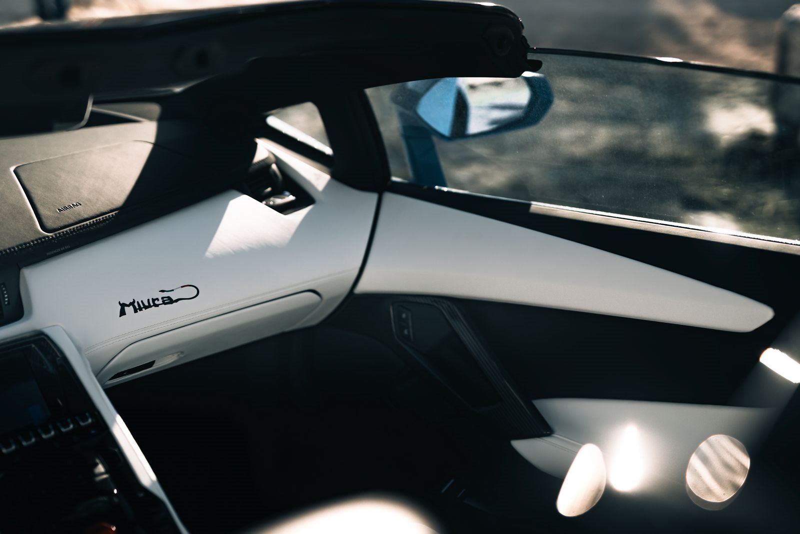 LAMBORGHINI AVENTADOR AD PERSONAM ULTIMAE ROADSTER, foto 11