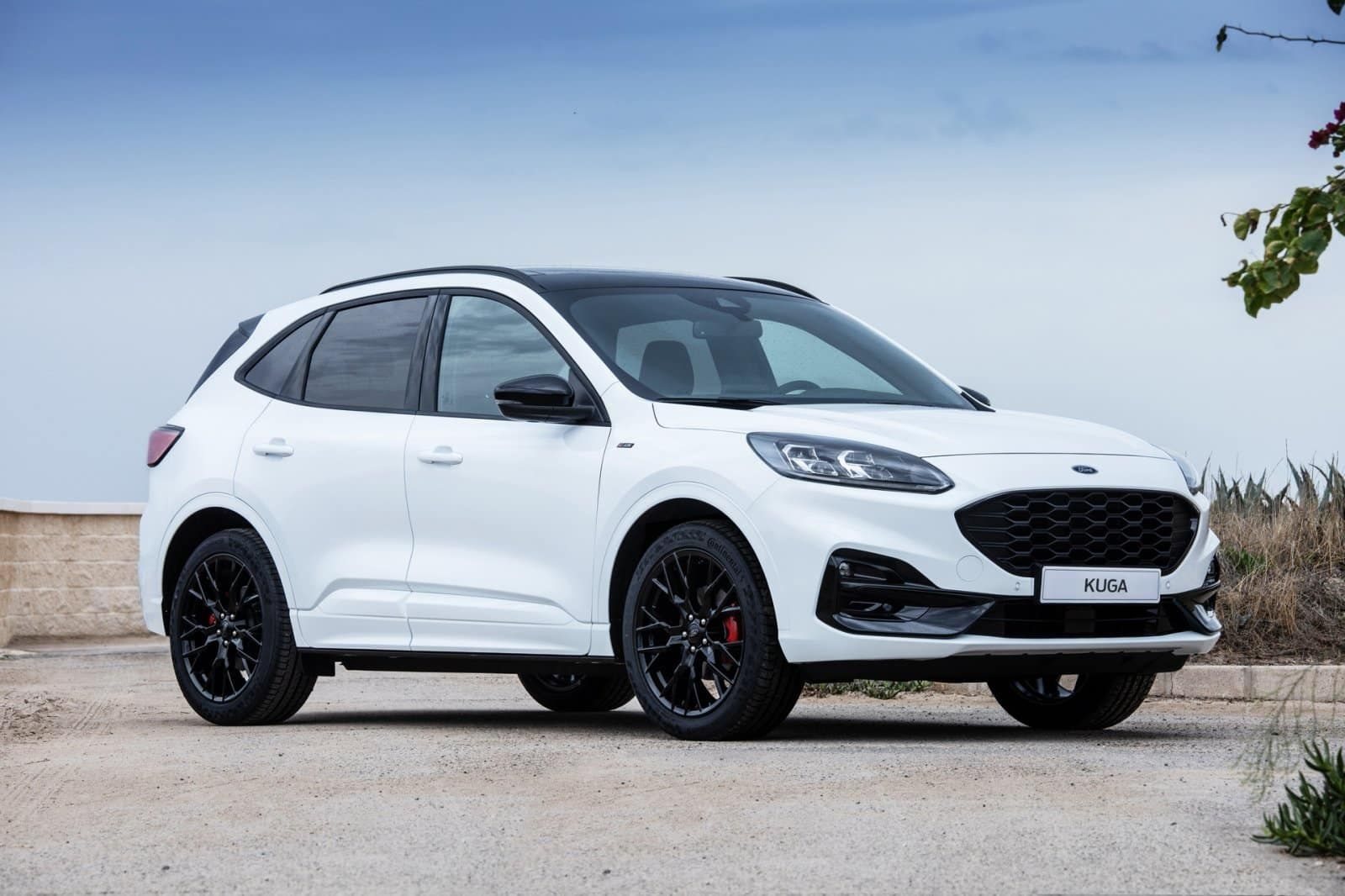 2022 - FORD KUGA ST LINE X BLACK PACKAGE, foto 1