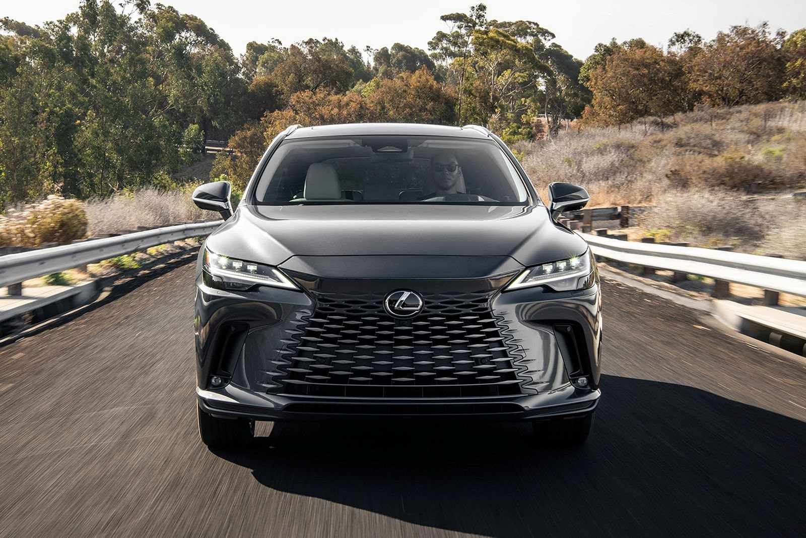 LEXUS RX 450h, foto 17