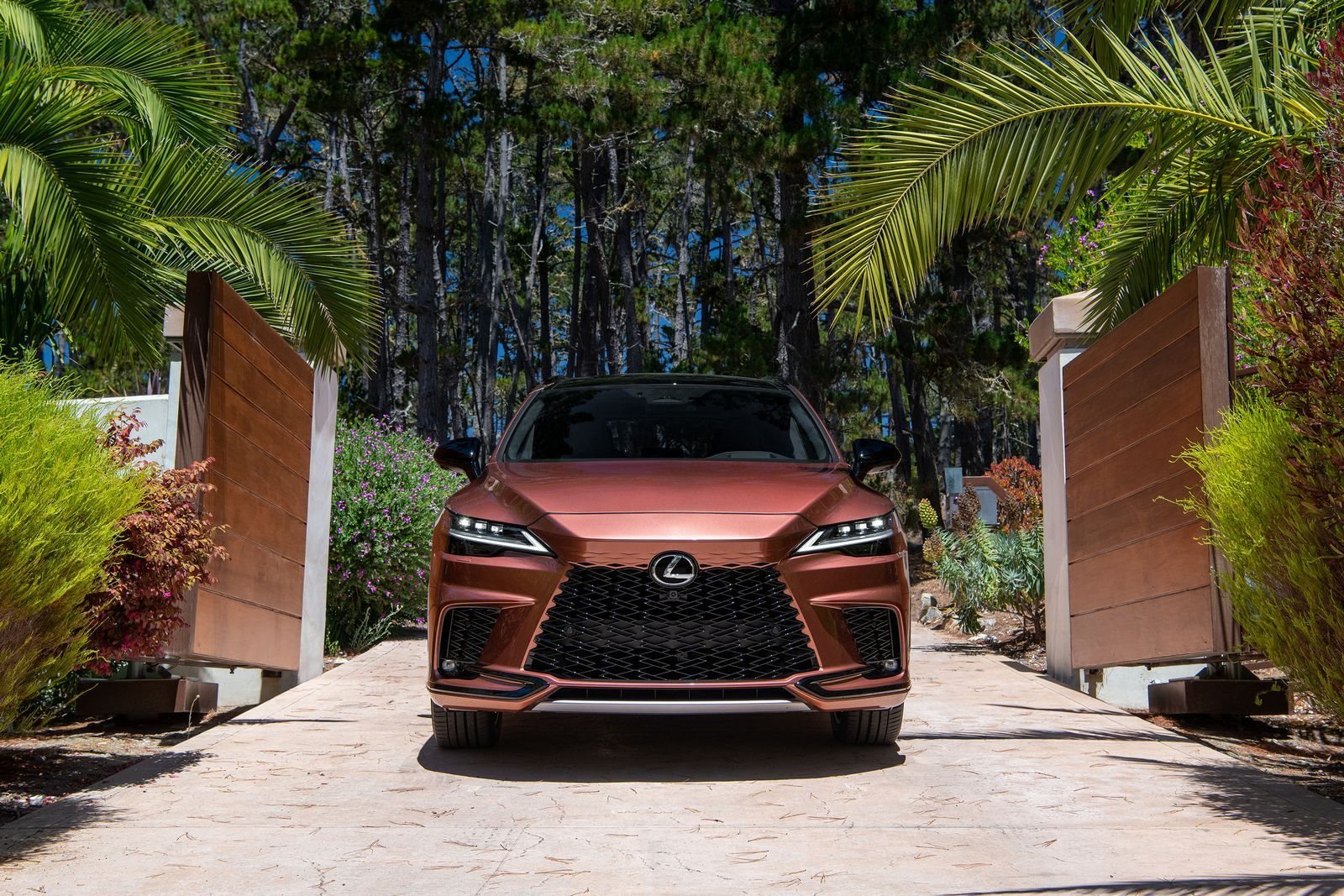 LEXUS RX 500h, foto 13