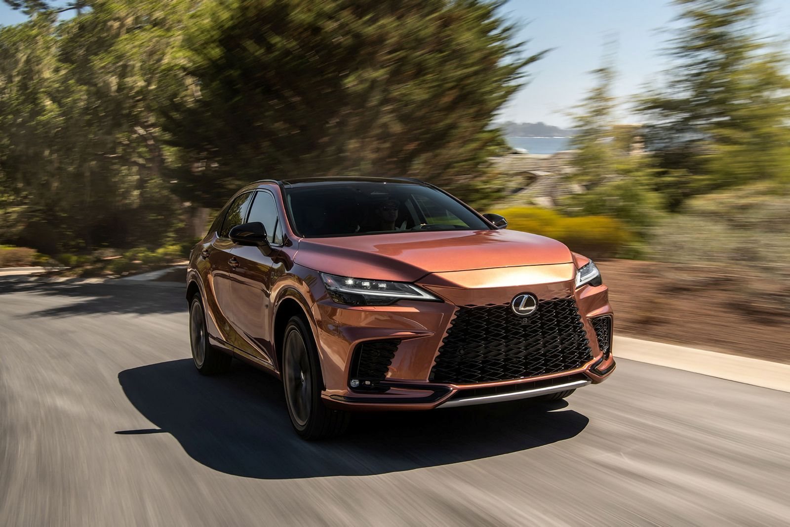 LEXUS RX 500h, foto 16