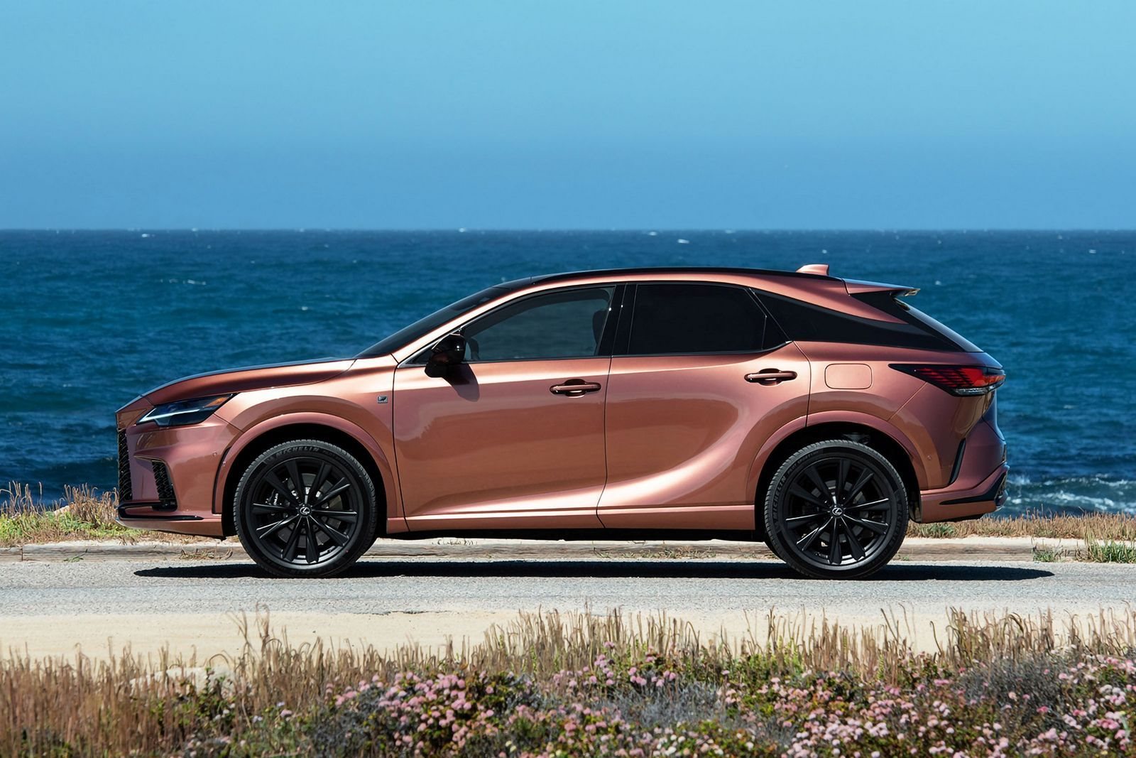 LEXUS RX 500h, foto 17