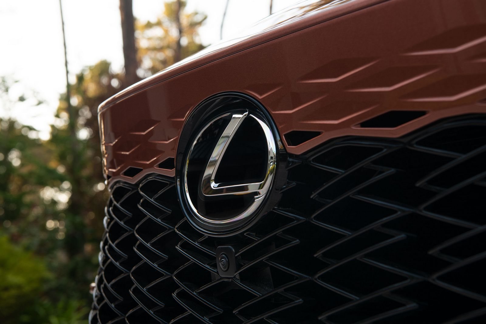 LEXUS RX 500h, foto 28