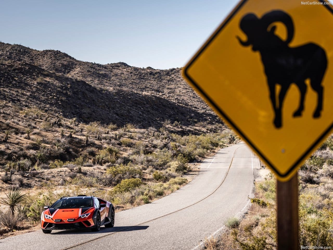LAMBORGHINI HURACÁN STERRATO, foto 36