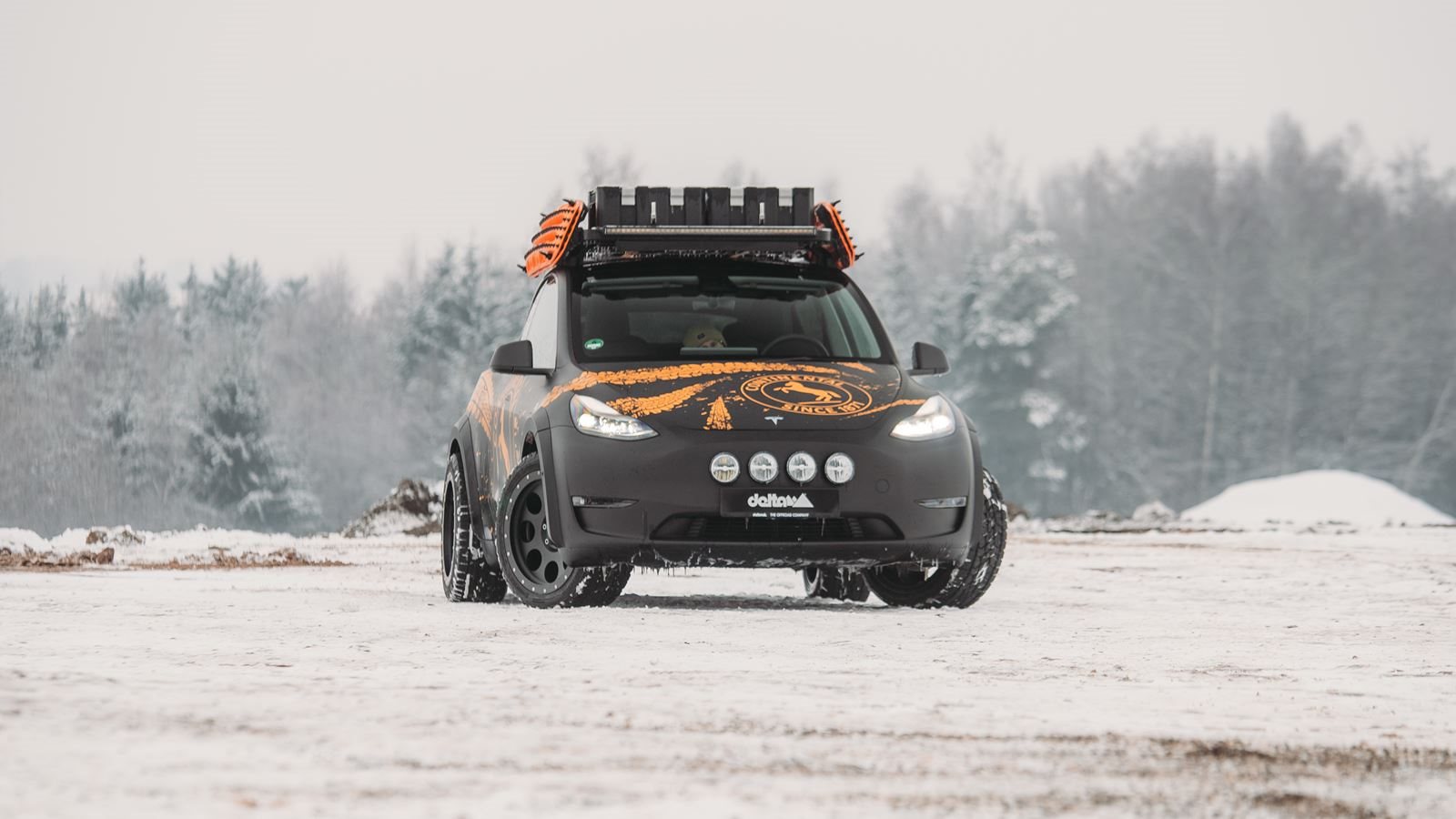 2022 - TESLA MODEL Y BY DELTA 4X4, foto 6