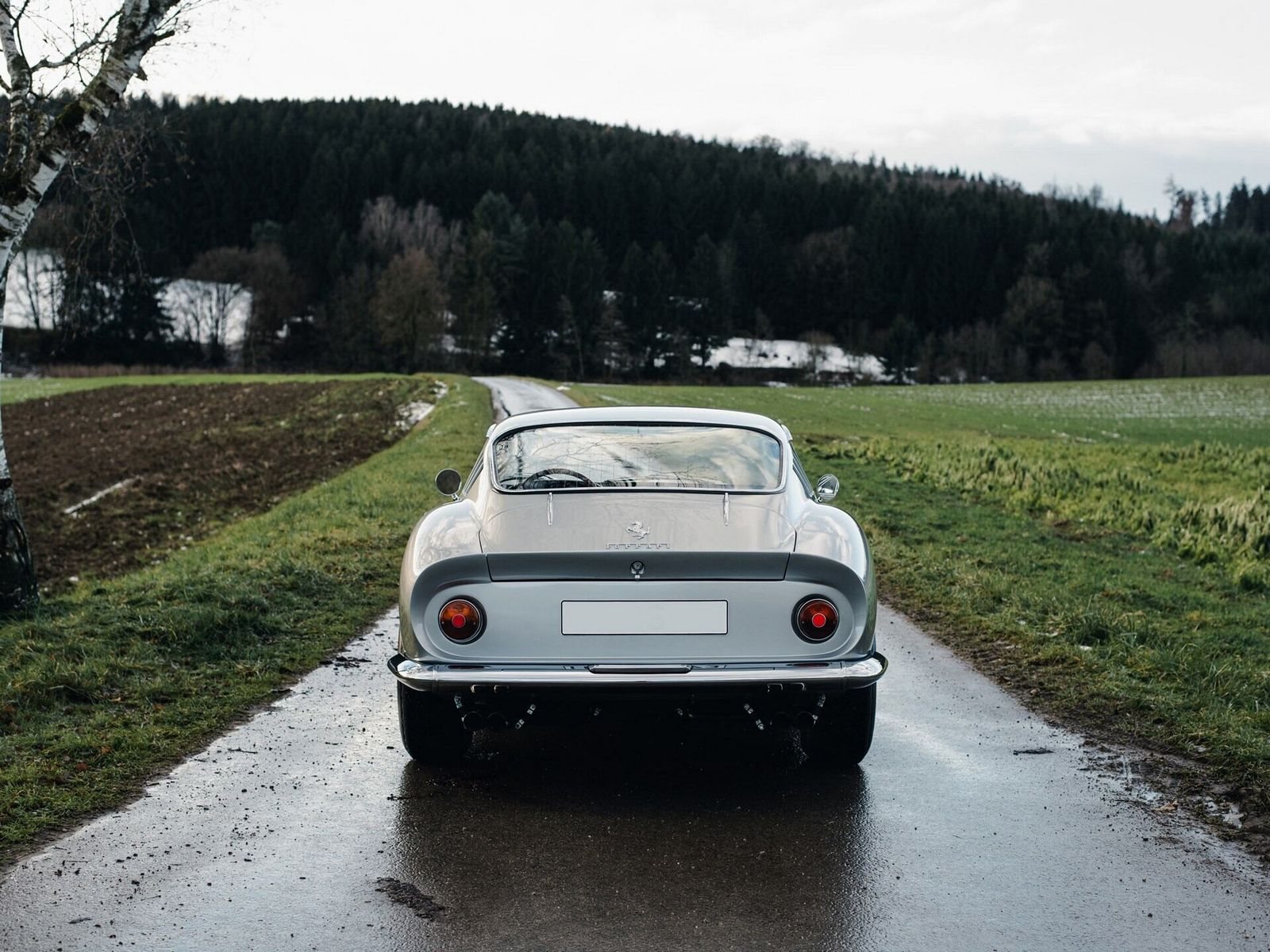 1968 - FERRARI F275 GTB/4 GRIGIO ARGENTO, foto 5