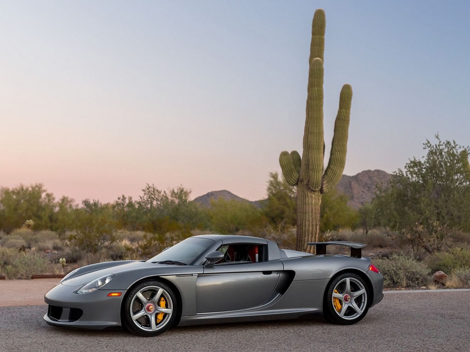 2005 - PORSCHE CARRERA GT SEAL GREY, foto 17