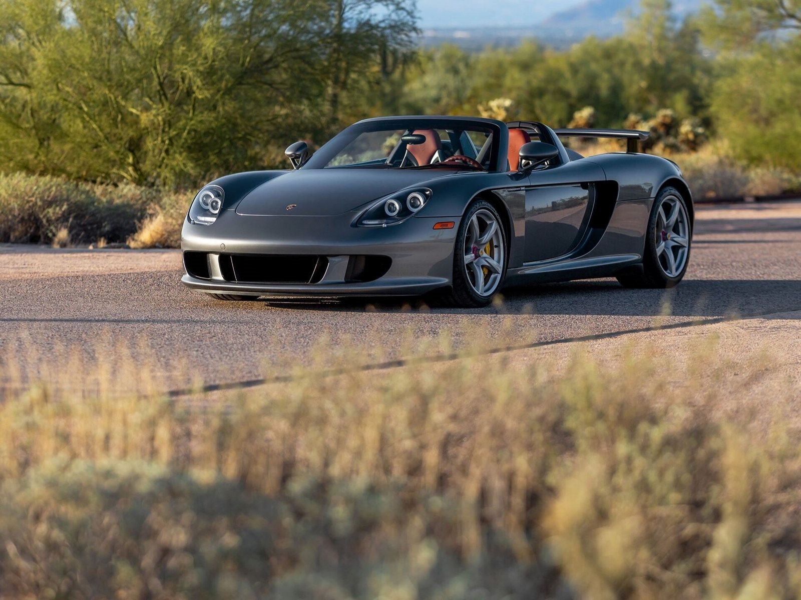 2005 - PORSCHE CARRERA GT SEAL GREY, foto 18