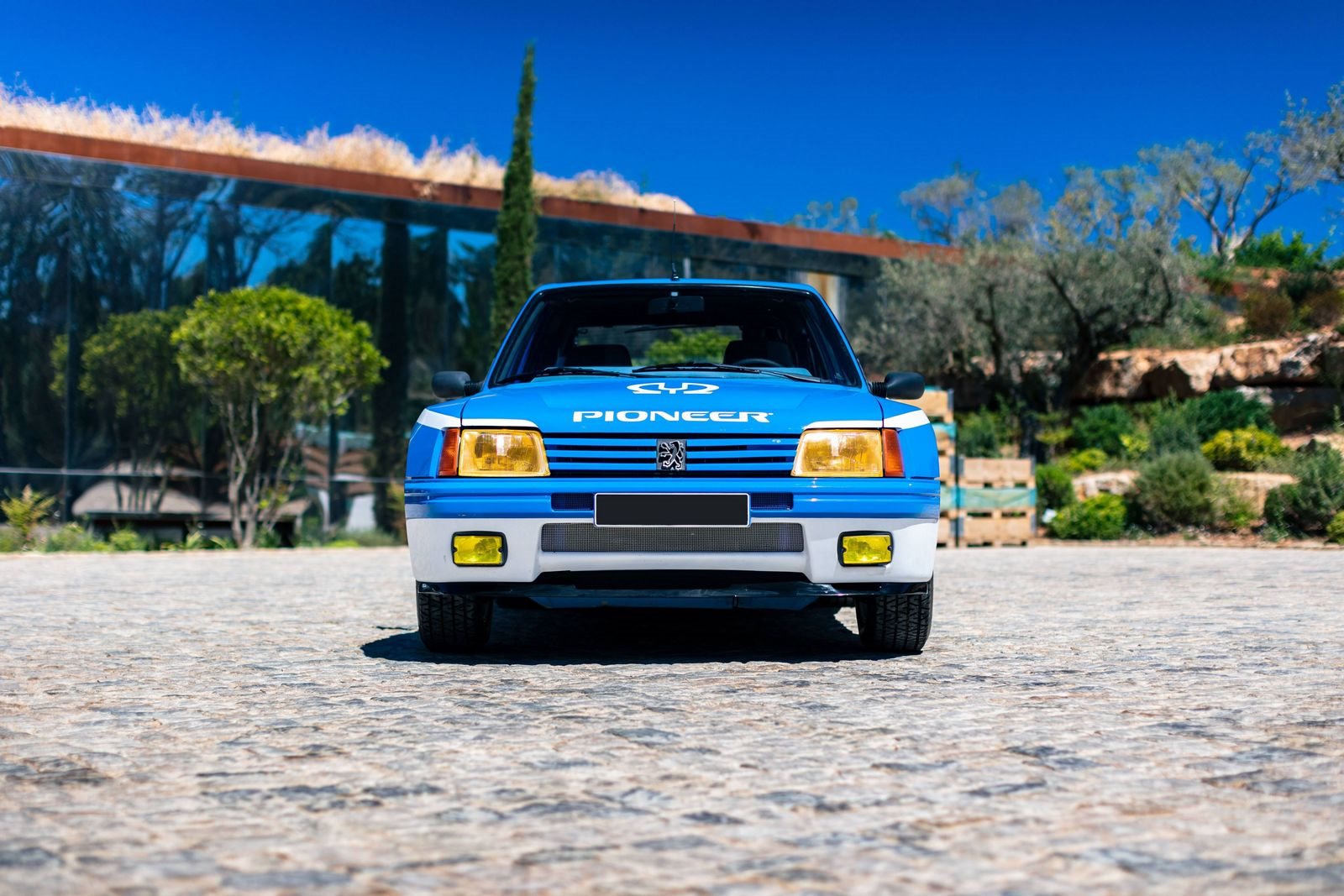 PEUGEOT 205 TURBO 16 PIONEER, foto 4