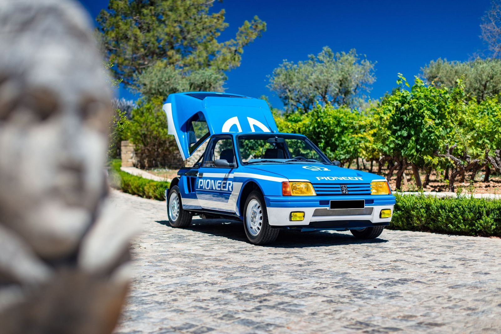 PEUGEOT 205 TURBO 16 PIONEER, foto 8