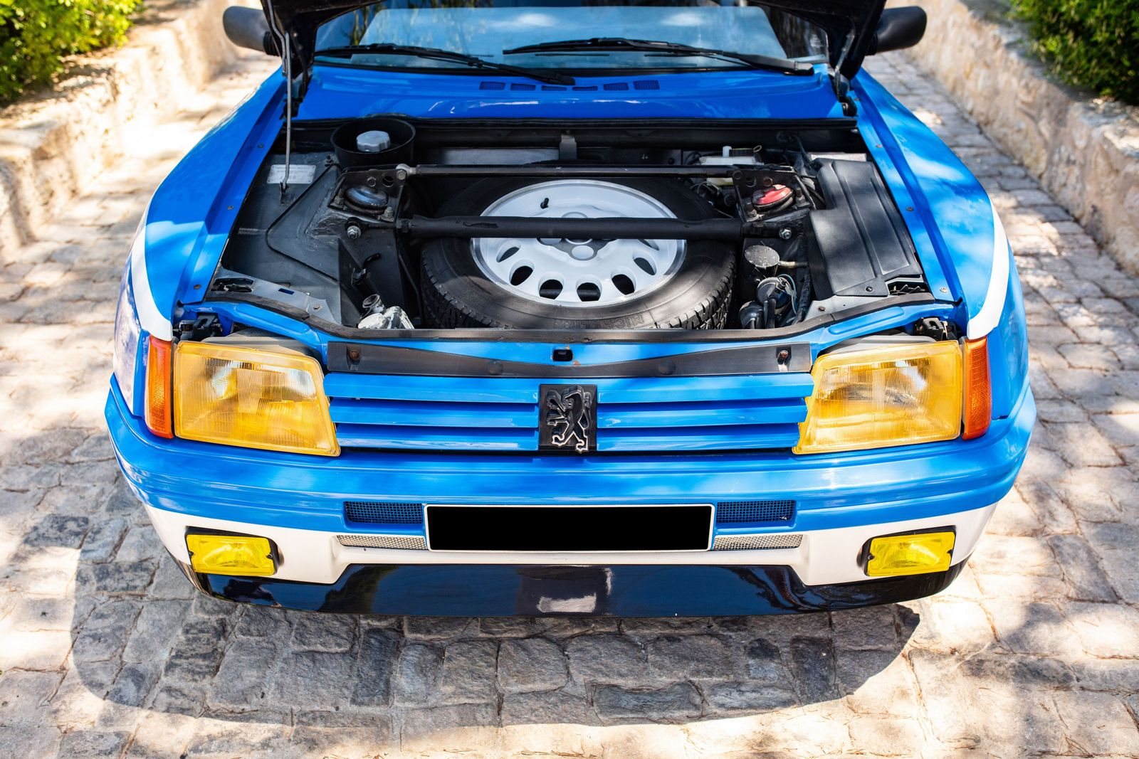 PEUGEOT 205 TURBO 16 PIONEER, foto 34