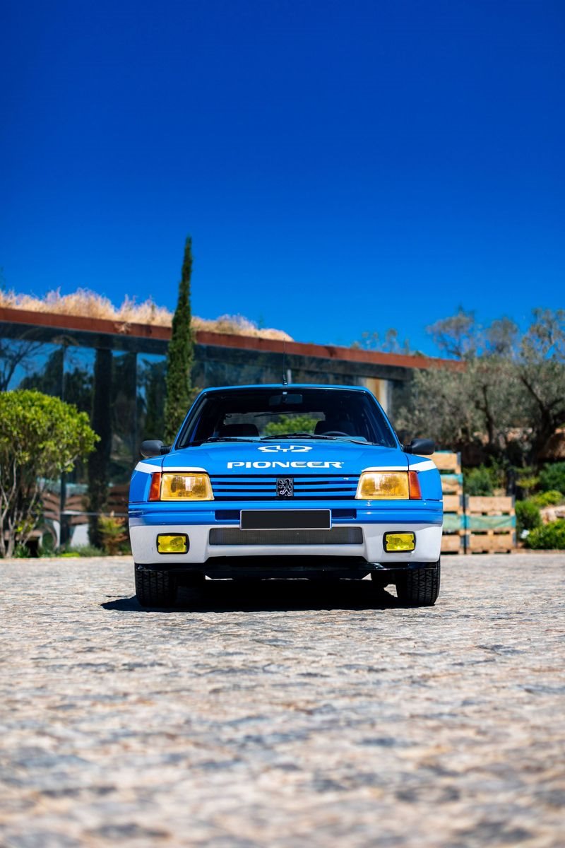 PEUGEOT 205 TURBO 16 PIONEER, foto 51