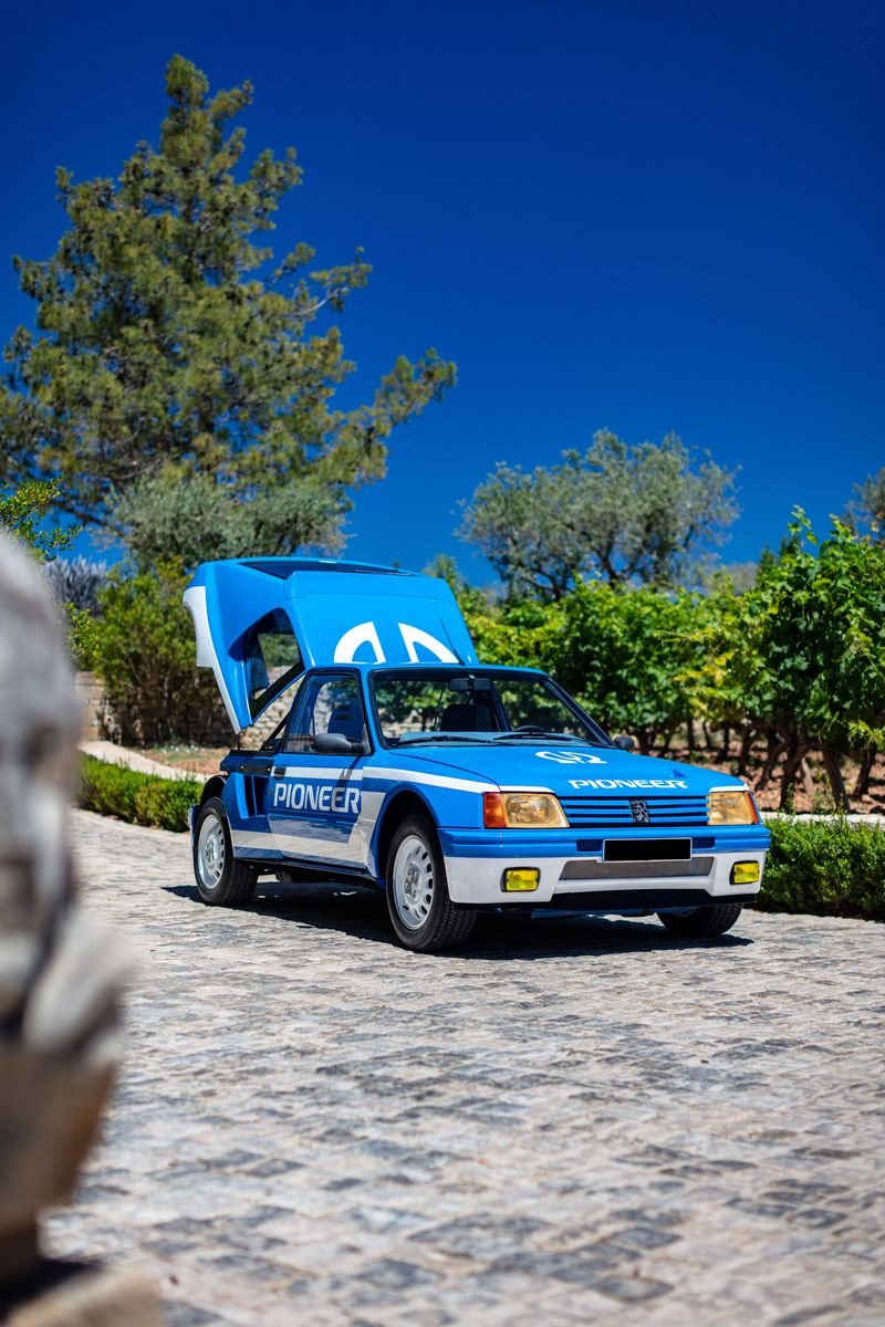 PEUGEOT 205 TURBO 16 PIONEER, foto 52
