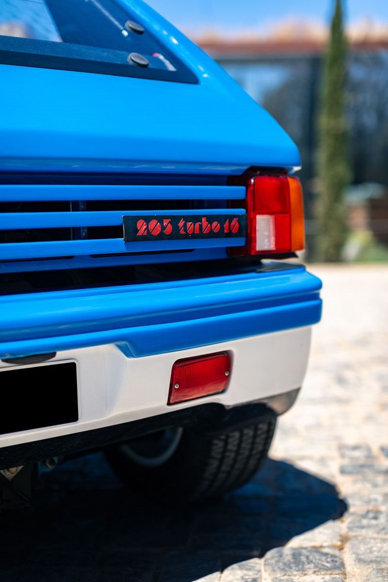 PEUGEOT 205 TURBO 16 PIONEER, foto 62
