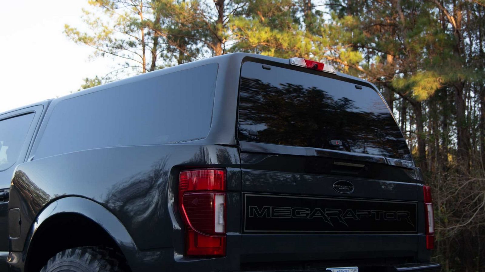 2023 - FORD F-150 MEGARAPTOR 7 BY MEGAREXX TRUCKS, foto 15
