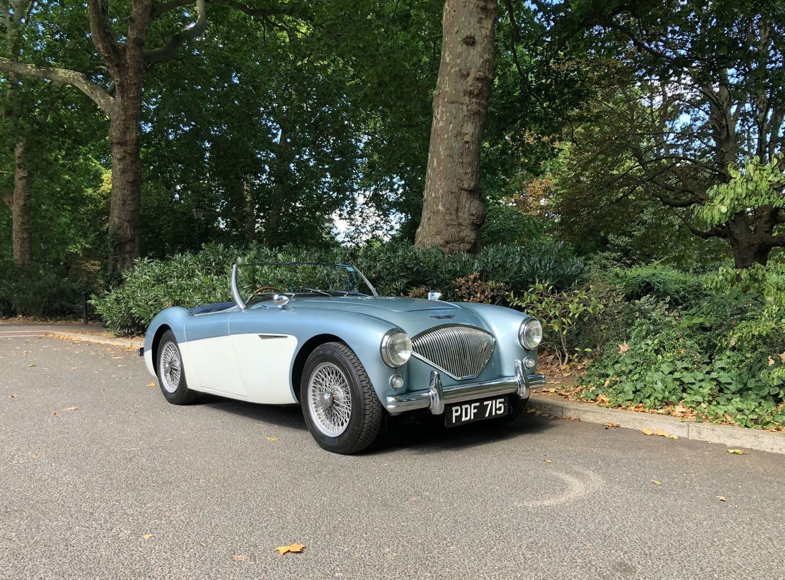 1955 - AUSTIN-HEALEY 100/4 BN1 BLUE, foto 1