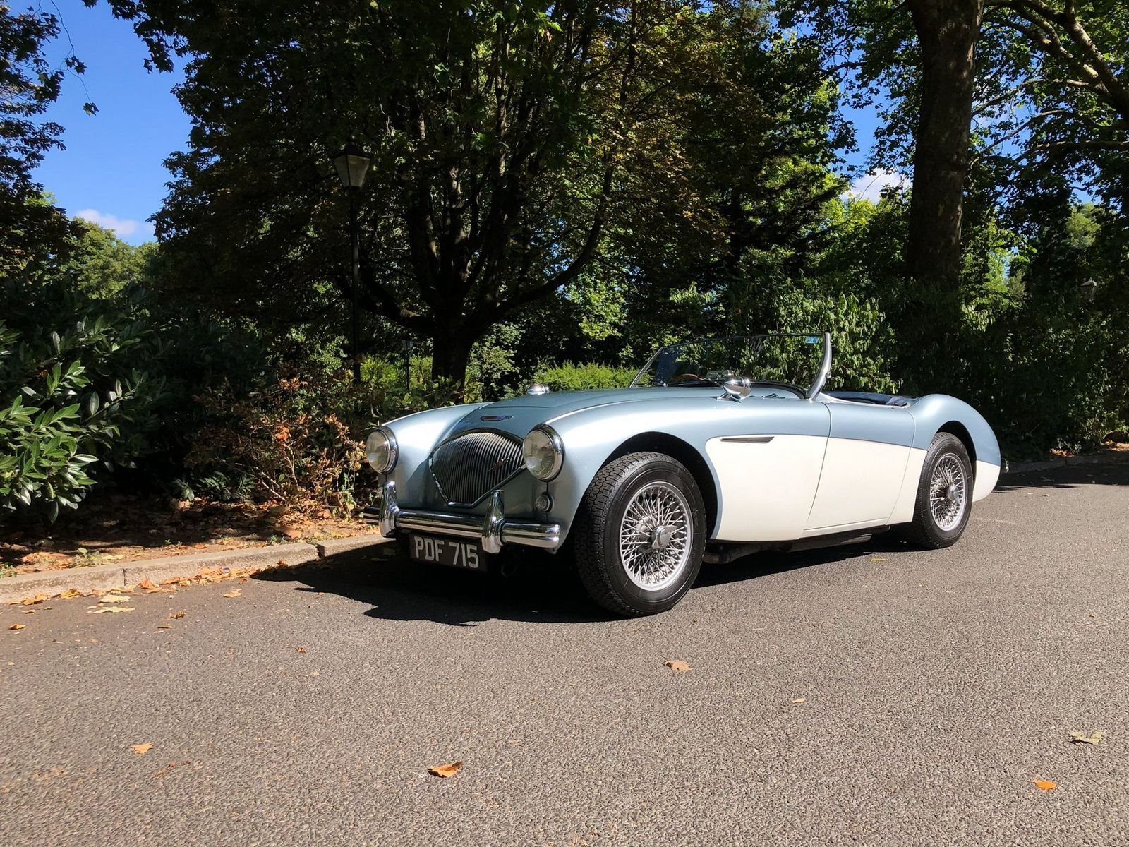 1955 - AUSTIN-HEALEY 100/4 BN1 BLUE, foto 2