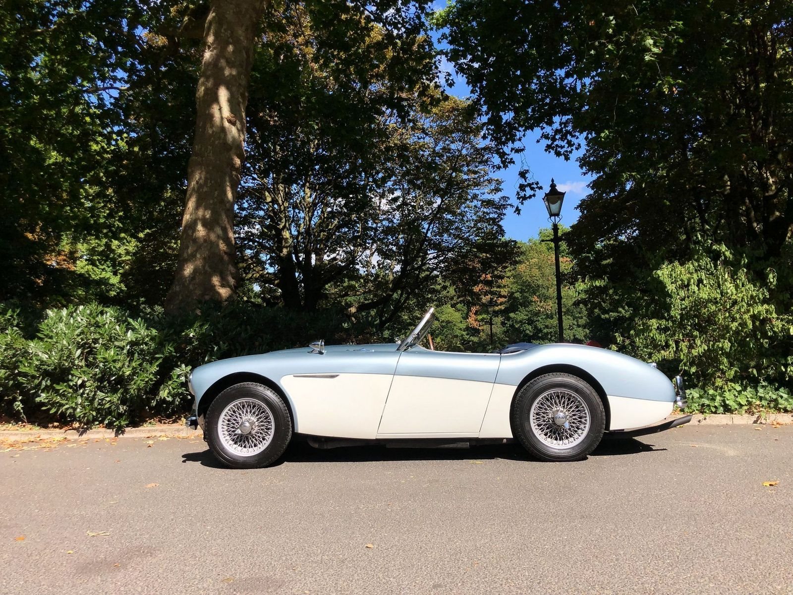 1955 - AUSTIN-HEALEY 100/4 BN1 BLUE, foto 5