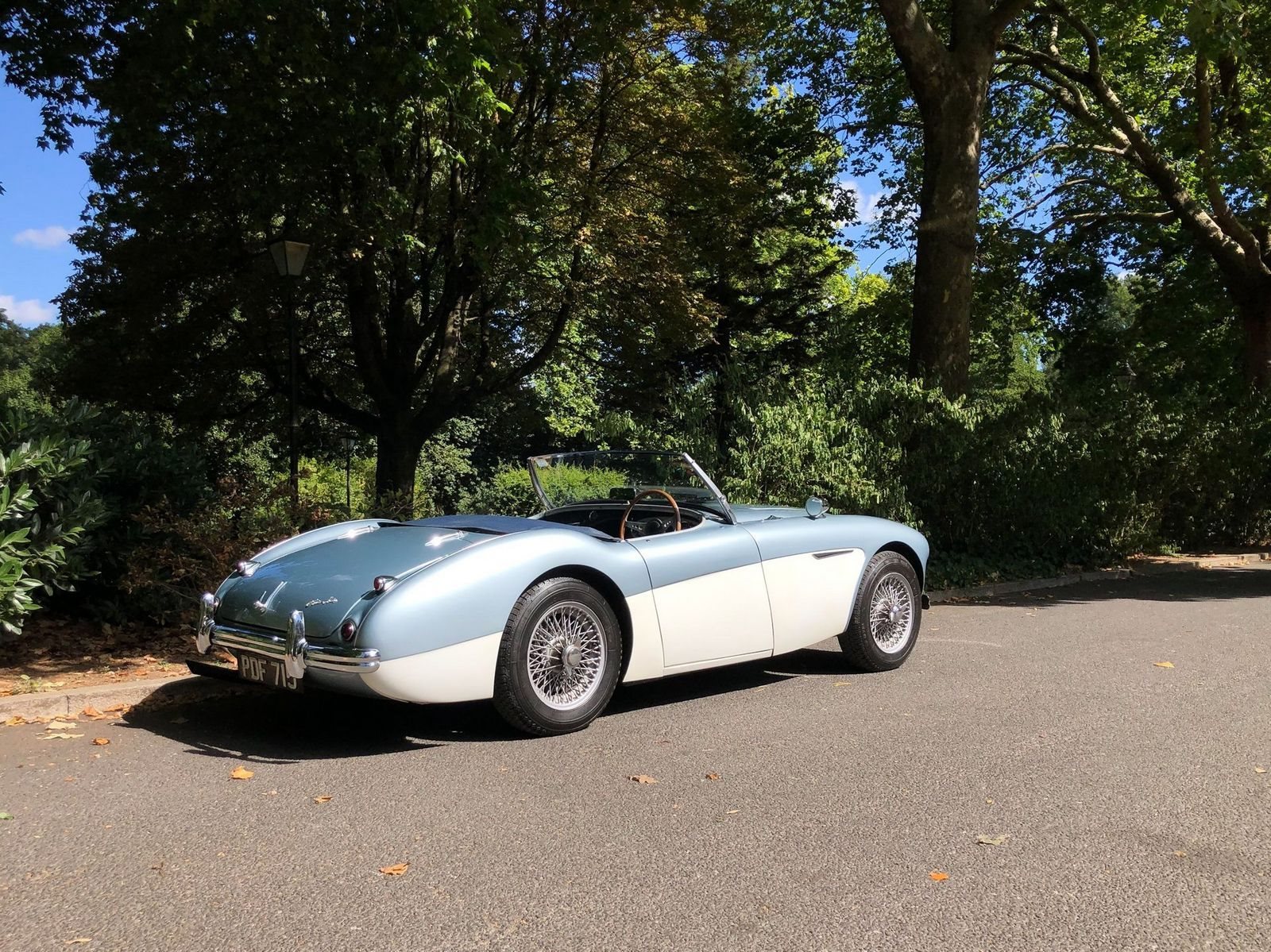 1955 - AUSTIN-HEALEY 100/4 BN1 BLUE, foto 7