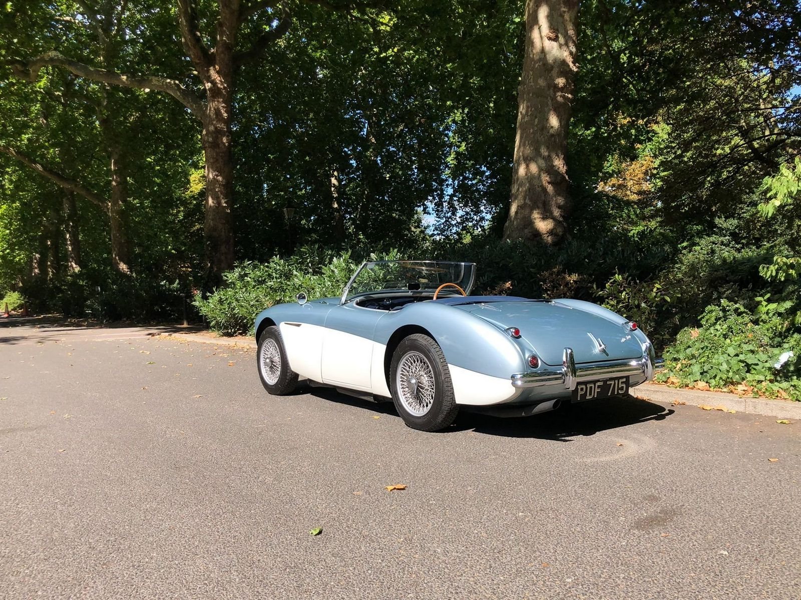 1955 - AUSTIN-HEALEY 100/4 BN1 BLUE, foto 8