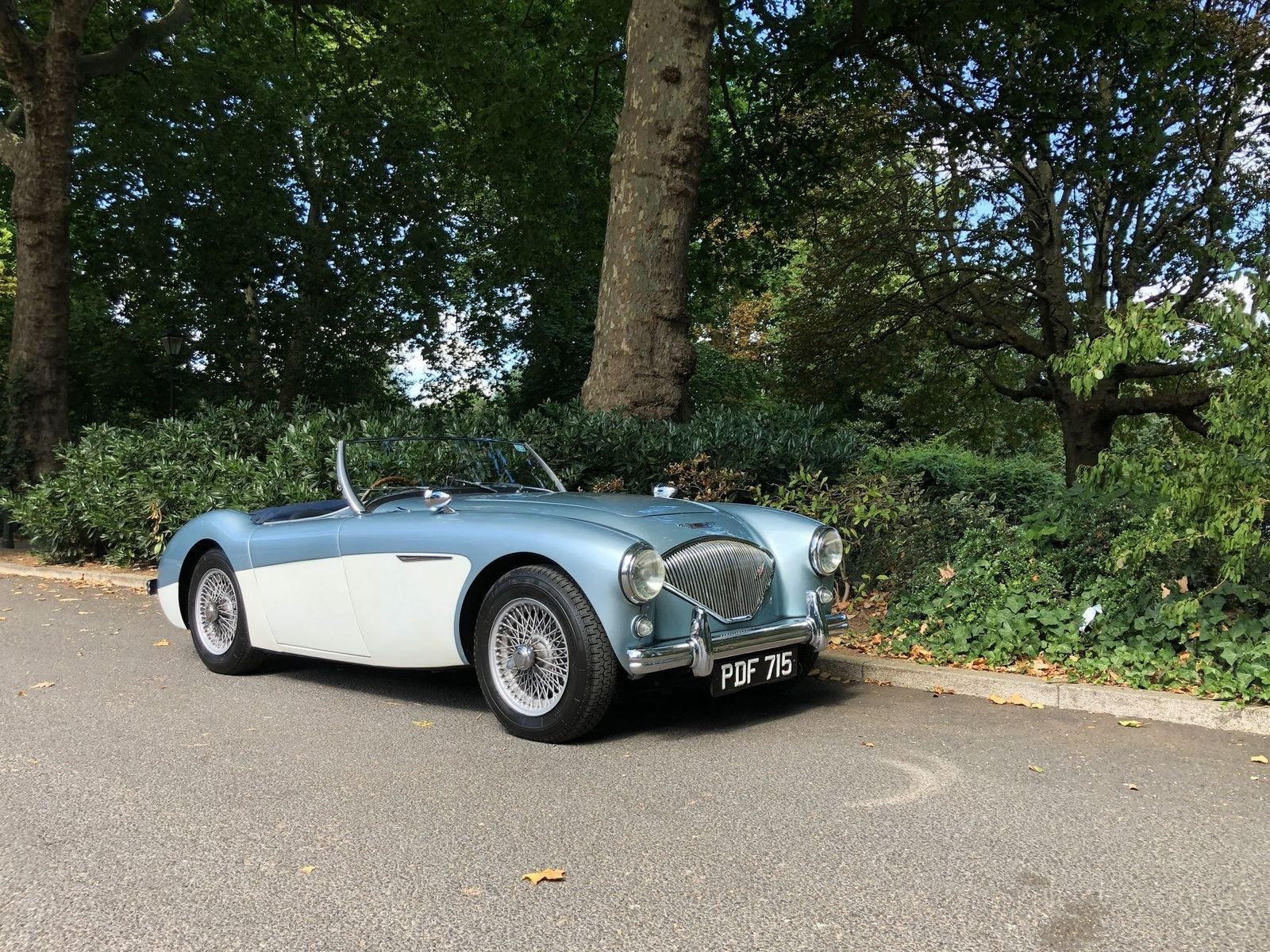 1955 - AUSTIN-HEALEY 100/4 BN1 BLUE, foto 21